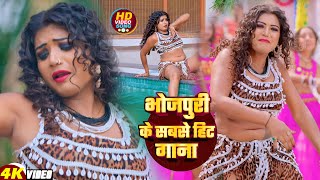 LIVE  Bhojpuri Song 2024  New Bhojpuri Song  Viral Bhojpuri Song  bhojpuri bhojpurigana [upl. by Elauqsap176]