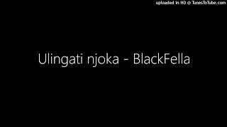 Ulingati njoka  BlackFella [upl. by Sirtemed]