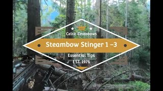 Steambow Stinger 2 pistol crossbow Essential Tips and Tricks [upl. by Fidela]