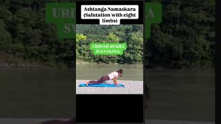 Ashtanga Namaskara EightLimbed Poseshorts youtubeshorts yoga shortfeed [upl. by Graff]