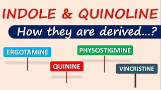 Indole and Quinoline alkaloids  How they are derived [upl. by Michaella]