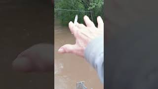 Little ochlocknee River flooding [upl. by Maury539]