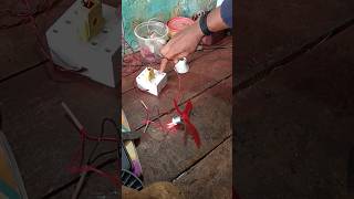 220V AC dc motor💥 experiment dcmotor experiment motivation electronic short viral [upl. by Radec]