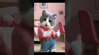 kucing joget part 4 [upl. by Daj]