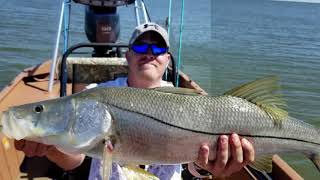 Fishing Homosassa river FL for Redfish and snook [upl. by Zerep]