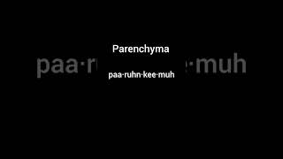 Parenchyma say it right [upl. by Nonnaihr]