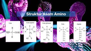 sintesis protein dan asam salisilat [upl. by Neztnaj]