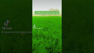 Bahut khuwbsorat naat Shareef by Qari Muhammad Riaz qadri rizvi ❤️ Islamic video [upl. by Lose]