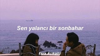 Aşkın Nur Yengi  Yalancı Bahar Lyrics [upl. by Lladnor]