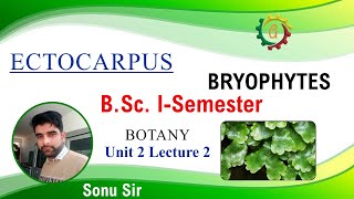 Ectocarpus  Diversity of Plant Kingdom  BSc ISemester Botany Unit 2 Lecture 2 [upl. by Annoynek816]