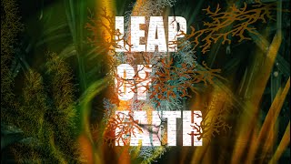 Face your fear to Grow  Leap of Faith [upl. by Etnaed]