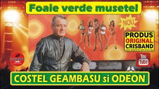 Costel Geambasu si Odeon quot Foaie verde musetel quot Vol 11 [upl. by Wagoner]