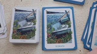 Gaian Tarot  Schiffer or Llewellyn Oracle or Tarot [upl. by Trabue299]