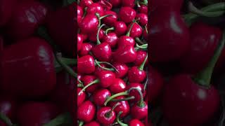 akabare khursani akabare chilli recipe akabarepickle shortsvideo shortsvideo nepalrecipe [upl. by Narret]