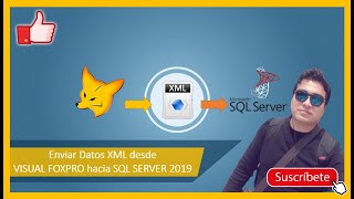 📌 Enviar Datos XML desde VISUAL FOXPRO HACIA SQL SERVER 2019  VÍCTOR RAMOS [upl. by Wenda]