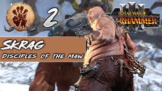 SKRAG THE SLAUGHTERER  Total War Warhammer III  Part 2 [upl. by Furlong]