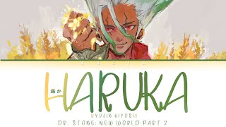 Dr Stone New World Opening  Ryujin Kiyoshi  Haruka 遥か LyricsKanRomEng [upl. by Mashe]