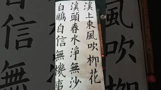 書法練習：【溪上】元‧趙孟頫。 [upl. by Ahsemak]