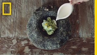 This Chef’s Creations Will Make You Hungry for Sustainable Seafood  Short Film Showcase [upl. by Seedman]