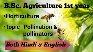 Pollination amp Pollinators  BSc Ag1st year  Horticulture  Explanation in both hindi amp English [upl. by Ahusoj]