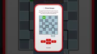 BitLife  Prison Escape 3 [upl. by Alfonzo]