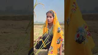 tanika sa chahi 😇💕 bhojpuri bhojpurimusicchannel bhojpuricomedy love bhojpurimusi [upl. by Dorcas]