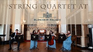 Bridge Strings Signature Theme  String Quartet at Blenheim Palace 🎻✨ [upl. by Nnaeus]