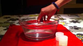 Archimedes Principle Experiment [upl. by Thomasina385]