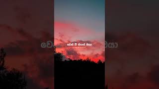 Ma nubata pem kale  dinesh tharanga Tmw music whatsapp status video [upl. by Ethelinda]