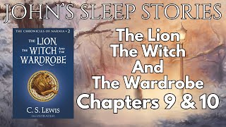 Sleep Story  The Lion The Witch And the Wardrobe by CS Lewis Chapters 9 and 10 With Rain Sounds [upl. by Ahsienek]