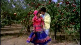 Ek Phool Do Mali  Ye Parda Hata Do with lyrics [upl. by Saberio]