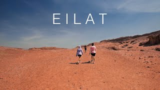 things to do in eilat israel shorts israel [upl. by Lahpos]