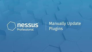 Manually Update Plugins in Nessus Professional [upl. by Olsen126]