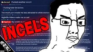 Invading The quotWorstquot Incel Forum [upl. by Lamrouex]