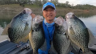 Lake Camanche Giant Crappies [upl. by Ayojal557]