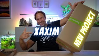 XAXIM statt Terra Base NEO GLAS AIR Projekt 20  Unboxing amp Bepflanzung  Emotion in Aqua [upl. by Werda32]