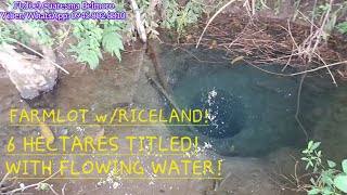 vlog 613 FARMLOTRICELAND W FLOWING WATER 6 HECTARES IN UMINGAN PANGASINANGOOD FOR INVESTMENT [upl. by Aland]