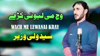 Wach Me Lewanai Kray  Syeed Wali Wazir Pashto Song 2024  New Pashto Song 2024  Tappy  HD Video [upl. by Hgielac768]