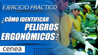 ¿Cómo Identificar Peligros Ergonómicos en un Puesto de Trabajo [upl. by Arrak687]