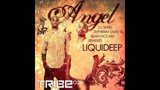 Angel  Liquideep Zepherin Saint Tribeapella [upl. by Irrac1]