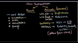 19 Virus transmission [upl. by Rojas]