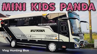 KIDS PANDA VERSI KEMASAN SASET😁‼️MEDIUM BUS KECE PAKE BASURI CORONG ATAS NIH  Vlog Hunting bus [upl. by Rawna]