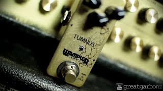 Wampler Tumnus Overdrive Pedal Demo [upl. by Radburn554]