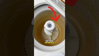 I Saved This Washing Machine cleaning satisfying cleaningtips [upl. by Relyk671]