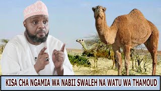 KISA CHA NGAMIA WA NABII SWALEH NA WATU WA THAMOUD SHEIKH OTHMAN MAALIM [upl. by Gnov]