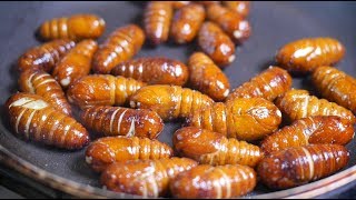 Cooking silkworm pupae [upl. by Adlar263]