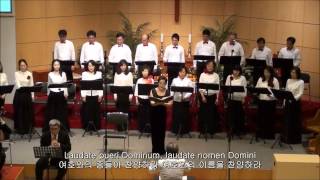 Handel  Laudate pueri Dominum HWV237  I Laudate pueri [upl. by Fine959]