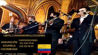 🎶Abusadora Wilfrido Vargas  Merengue Agrupación Acuarela Colombiana🎶🇨🇴 [upl. by Hcnarb]