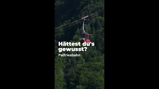 Hättest dus gewusst Fakten zur Palfriesbahn im Heidiland [upl. by Moorish]