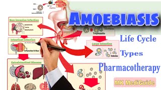 Amoebiasis Pathophysiology Life cycle amp Pharmacotherapy  Pharmacology [upl. by Resa]